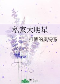 《私家大明星》