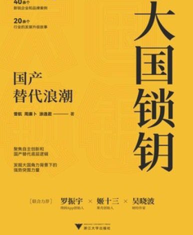 大国锁钥:国产替代浪潮(出版书)