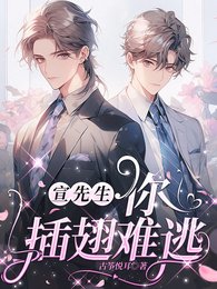 宣先生,你插翅难逃